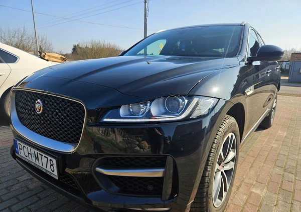 Jaguar F-Pace cena 109900 przebieg: 112000, rok produkcji 2017 z Szamocin małe 254